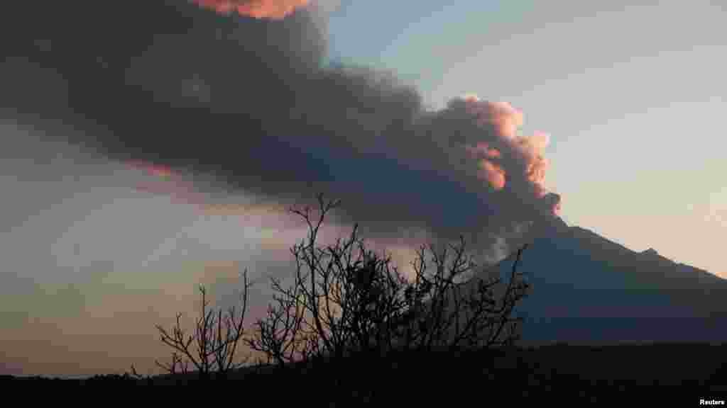 Popocatepetl volcano spews a column of ash and smoke as authorities declare a yellow alert after an increase in volcanic activity, as seen from Santiago Xalitzintla, in the state of Puebla, Mexico, Feb. 22, 2024.
