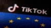 欧盟旗帜与TikTok标识