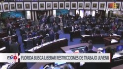 La Florida considera ley que autorice a menores de edad trabajar como adultos 