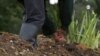 Un campesino en el departamento de Boyacá (centro) trabajando en un cultivo de cebolla. FOTO: Jihan Reyes, VOA.