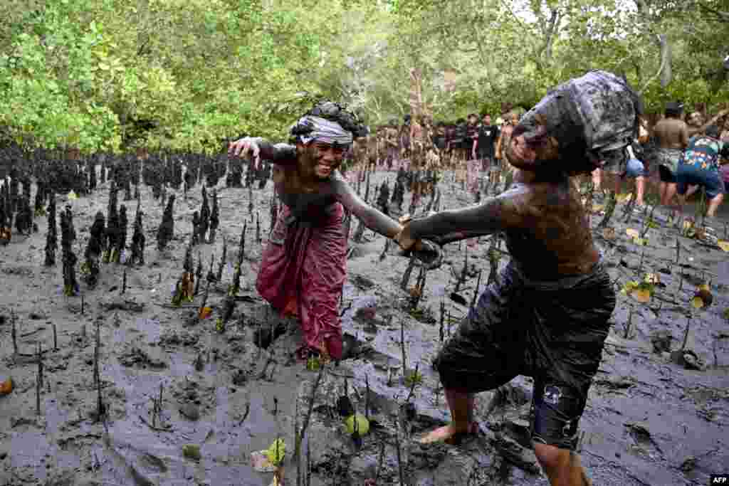 Balinese people take part in a mud bath tradition, known as Mebuug-buugan, held a day after Nyepi - the Balinese "Day of Silence" on Indonesia's resort island of Bali.