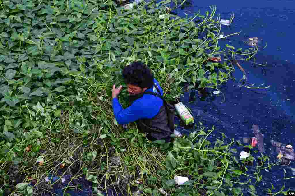 A man collects trash during a clean-up along a river in Paranaque City, Metro Manila, Philippines.