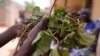 UN: One-fourth of World’s Youngest Children Lack Food