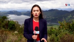 Árboles plantados en el páramo de Guerrero en Colombia con cenizas de víctimas por COVID-19