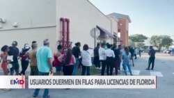 Molestias por solicitudes de licencias de conducir en Miami 