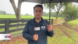 Confirman nacionalidad mexicana de inmigrantes fallecidos en autobús de Florida