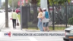 Miami busca prevenir muertes de peatones en accidentes de transito 
