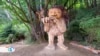 Misteriosos troles se esconden en bosques de EEUU para concienciar sobre medio ambiente 