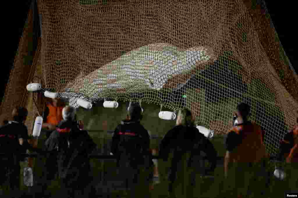 Firefighters and members of a search and rescue team pull up a net as they rescue a Beluga whale that strayed into France's Seine River, near the Notre-Dame-de-la-Garenne lock in Saint-Pierre-la-Garenne, France.