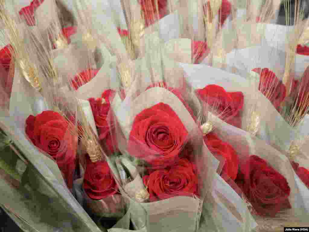 Las rosas son uno de los elementos protagonistas del Día de Sant Jordi. Como marca la tradición, los enamorados se regalan una rosa y un libro. 