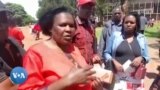 Vebato reMDC Rinotungamirwa naVaMwonzora Votadzisa Vatori veNhau Kuita Basa Ravo 