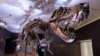 Might Not Want to Kiss One, But Scientists Say T. Rex Dinosaur Had Lips