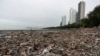 Panama Becomes First Central American Nation to Ban Plastic Bags 
