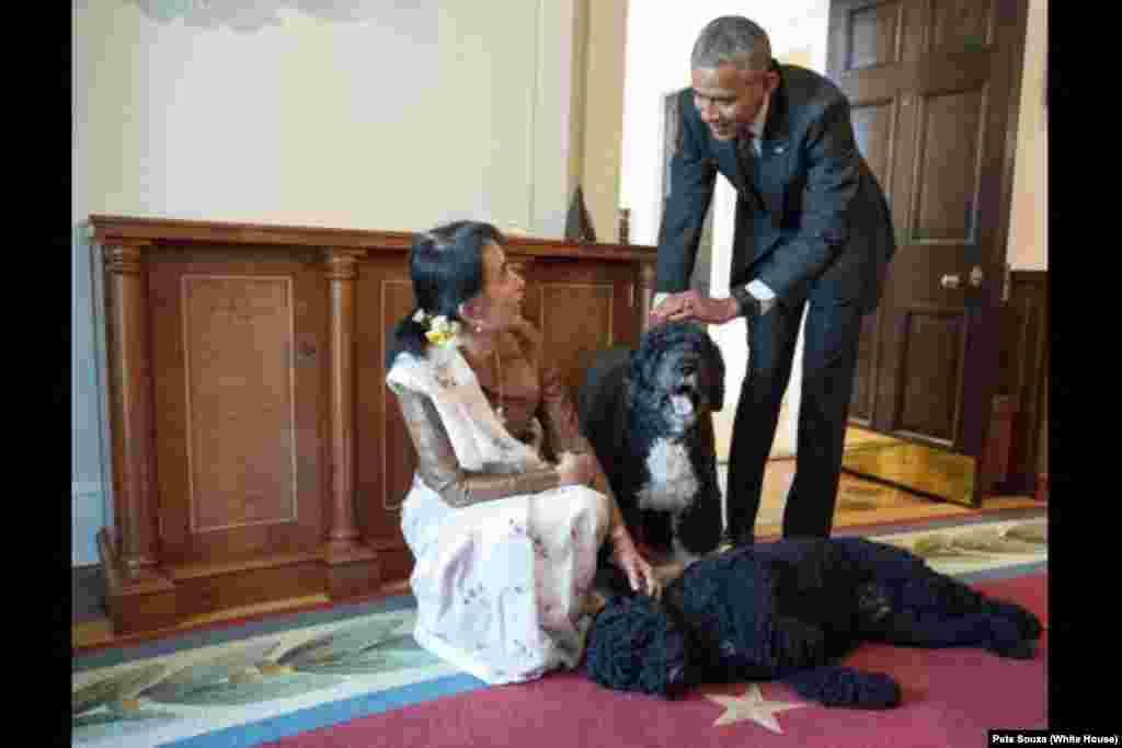 Aung San Suu Kyi menyapa dua anjing keluarga Presiden Barack Obama, bernama Bo dan Sunny, setelah pertemuan kedua pemimpin di Gedung Putih (14/9).