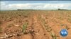 UN Report Warns Climate Change Will Hit Our Stomachs