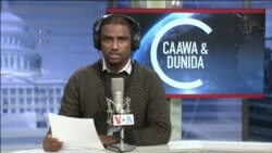 Caawa iyo Dunida
