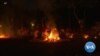 Venezuelan Devotees Burn, Beat, and Cut Themselves Celebrating Goddess