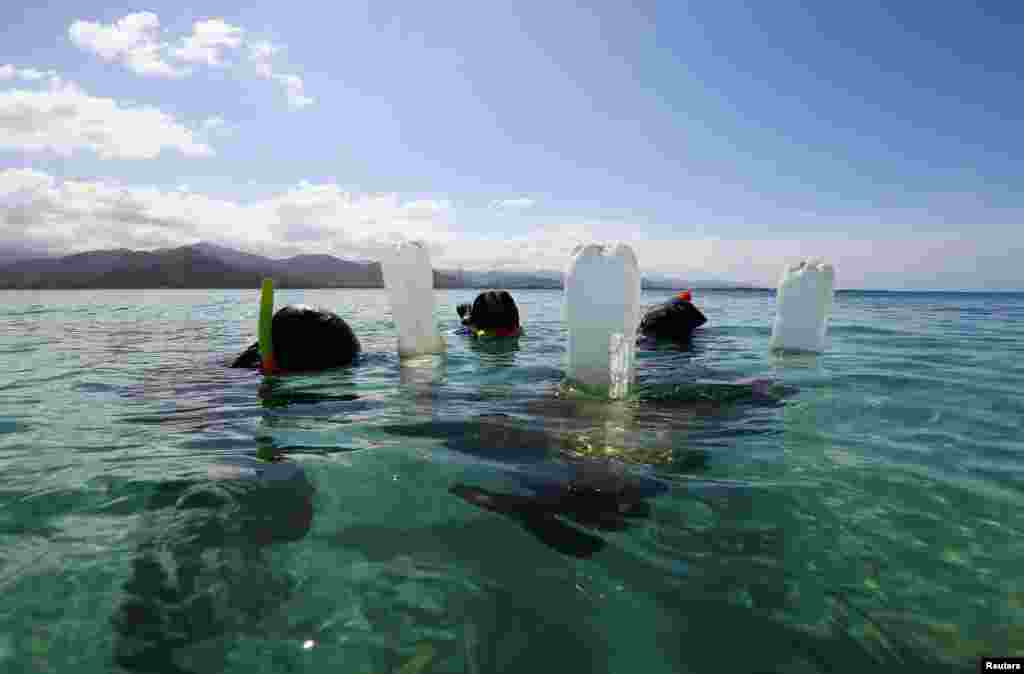 “Los corales ya se están blanqueando ya sea por enfermedades del ecosistema, por la acidificación pero también la causa principal es el calentamiento (global)", explica Jesús Alvarado, director de la Fundación Pilares Marinos que se encarga de las granjas de rescate y mantenimiento de corales nativos.