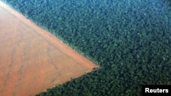 Amazonska kišna šuma (R), omeđena iskrčenim zemljištem pripremljenim za sadnju soje, na fotografiji iz zraka snimljenoj nad državom Mato Grosso u zapadnom Brazilu, 4. oktobra 2015.