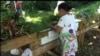 New Roots: Program Pertanian Skala Kecil untuk Pengungsi di Amerika