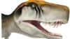 Dinosaurs Displayed Fast Growth Rate Early