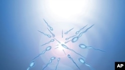 Sperm