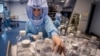 VOA卫视-时事大家谈 贫穷国家“一苗难求” 豁免疫苗专利管用吗？豁免疫苗专利保护是危险游戏？