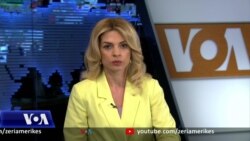 Ditari - DASH: Shqipëria vend i vështirë për të bërë biznes për shkak të korrupsionit 