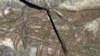 This image of fossilized Sinornithosaurus shows the raptor's long, grooved fangs. It lived in prehistoric forests of northeastern China that were filled with a diverse assemblage of animals including other primitive birds and dinosaurs.