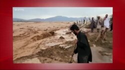 د ډیوه د روانو چارو خپرونه په ټي وي
