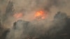 Chile corre el riesgo de repetir mortales incendios forestales debido al cambio climático: estudio