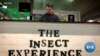 Restaurant in Cape Town Serves Insect - Only Menu