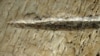 Two parallel cut marks made by stone tools cutting into tissues on the rib of a cow-sized or larger ungulate