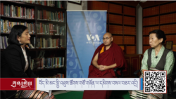 བོད་མི་མང་སྤྱི་འཐུས་ཚོགས་གཙོ་གཞོན་ལ་དམིགས་བསལ་བཅར་འདྲི།