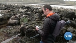Study: Storm Waves Capable of Moving Car-Sized Boulders Threaten Coastal Communities
