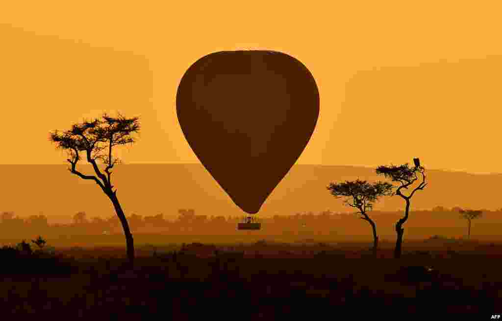 A hot air balloon carrying tourists is pictured during the annual wildebeest migration in the Masai Mara game reserve in Kenya.