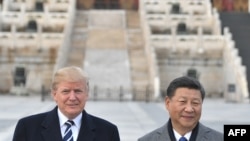 美国总统特朗普和中国国家主席习近平在北京故宫合影。（2017年11月8日）