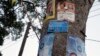 Elections campaign posters are plastered on a tree on May 15, 2014, in Zomba ahead of Malawi's Tripartite Elections. 