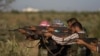 Siria ya está en guerra civil según la ONU, pero su gobierno lo niega
