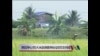 泰国争议性大米政策影响执政党支持度