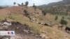 Di Dema Koronayê de bi Dilxwazî Çavdêrîya Ajalan Dike