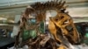 Science Celebrating 200 Years of Dinosaur Research