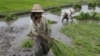 အမေရိကန်ကရတဲ့ မြေသြဇာ ချွေတာနည်း