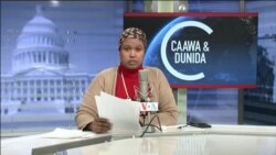 Caawa iyo Dunida