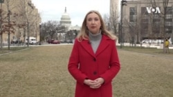 Iz Amerike 96 (19. februar 2022)