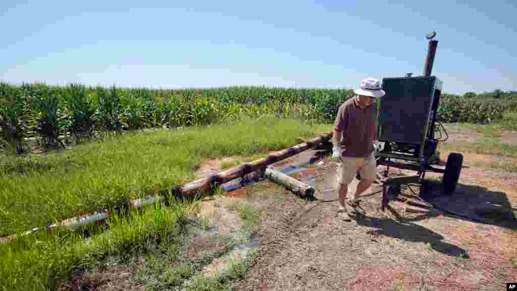 Many Arkansas fields have required 24 hour irrigation for much of the growing season due to a lack of rain and hot weather.