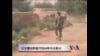 视频：苏联撤兵阿富汗后25年美国撤军 有何教训要吸取？