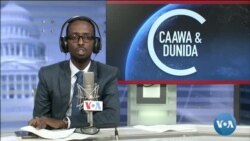 Caawa iyo Dunida