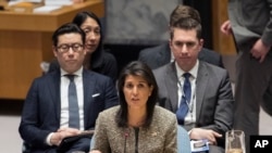 美国驻联合国大使黑利在安理会紧急会议上讲话（2017年11月29日）