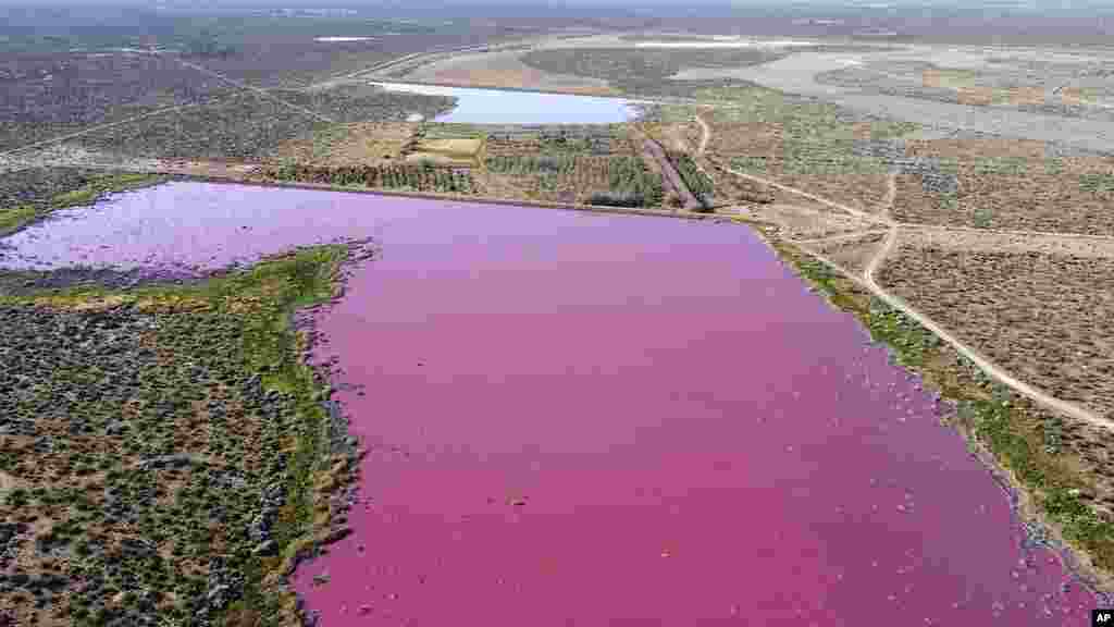 The waters of the Corfo lagoon are pink in Trelew, Chubut province, Argentina, July 29, 2021. Local environmentalists attribute the color to increased pollution from a nearby industrial park.